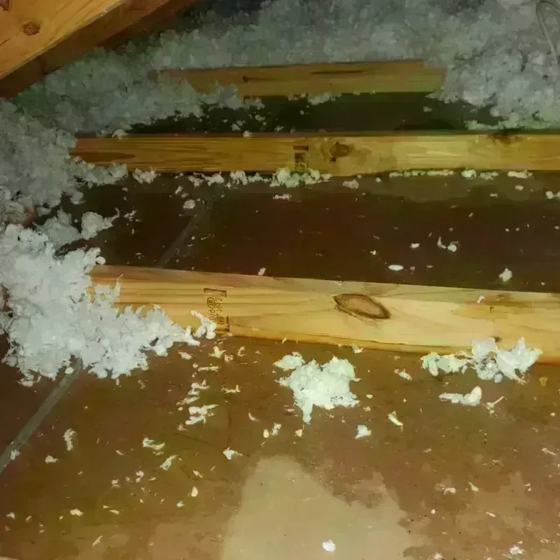 Attic Water Damage in Amarillo, TX