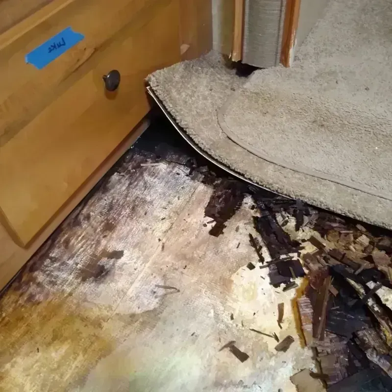 Wood Floor Water Damage in Amarillo, TX